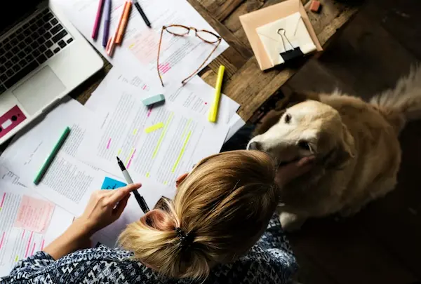 Consejos para organizar el cumplimiento tributario de tu empresa