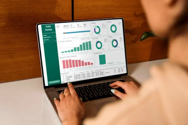 Do you still need an accountant if you use accounting software