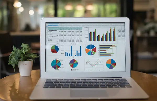 What is accounting software and what is it used for